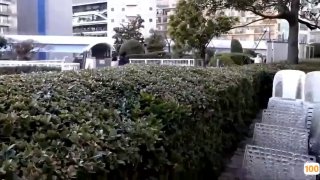 强开女学生的小嫩苞|日韩精品一区二区3区|亚洲无线码在线免费观看